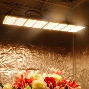 Top 10 SMILE 2024 Hydroponic Grow Light Led, Shenzhen Led Lights Aeroponic Growing Systems Cxb 3590