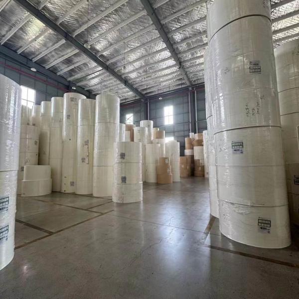 Moisture Resistant Kraft Paper Roll for Juice Cup Production Laminated PE Coated Roll Wrapping Packaging Cups