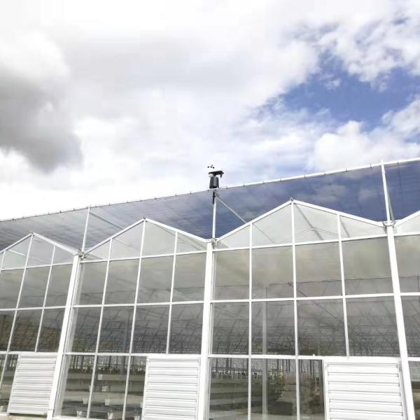 Quality Automatic Weather Monitoring Station for sale