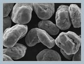 China BPP Spherical Graphite Anode Material For Lithium Battery wholesale