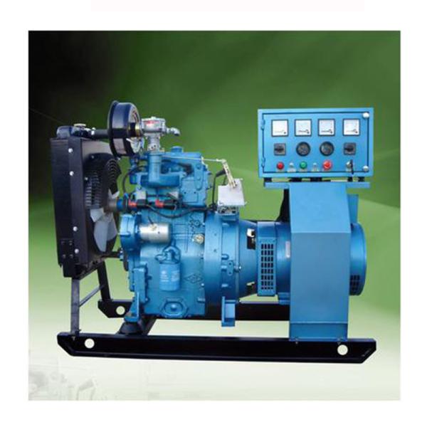 Quality Electric Start Biogas Generator Equipment Customized Power Output for sale