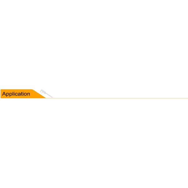 Precision Electronic Digital Caliper with 0-1000mm Measuring Range for Wide Size Measurement