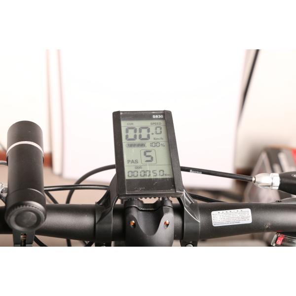 32km/H Pedal Assist Electric Mountain Bike 36V Lithium Battery Hide In Frame Tube