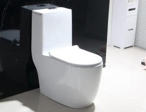 China Unique Modern Portable Single Piece Toilet Scratch Resistant wholesale