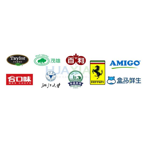 0.2~50t Air Cooling Ice Flake Machine, Seawater Ice Maker for Seafood Fishery