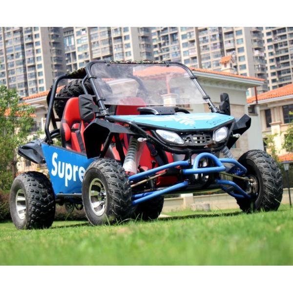 200cc Two Seater Go Kart Single Cylinder / Automatic Go Kart With Reverse