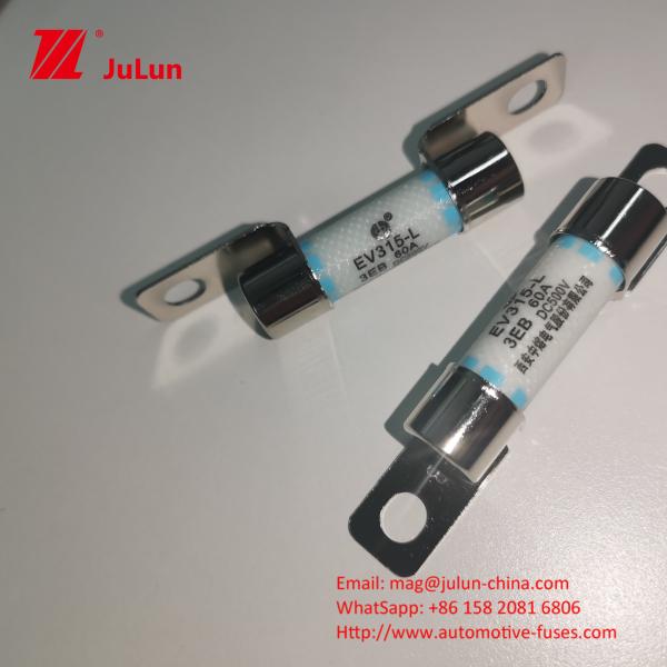 Quality Short Circuit Protection Electric Vehicle Fuse 40A With Breaking Capacity 3KA Automotive for sale