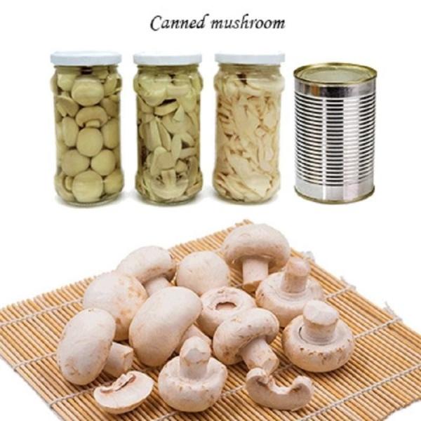 Quality Champignon Mushroom Canned Fruits Vegetables Champing Mushroom Slices for sale