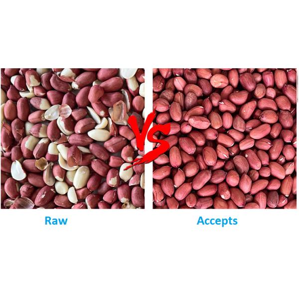 Custom Automatic Soybean Peanut Color Sorter Machine High Output