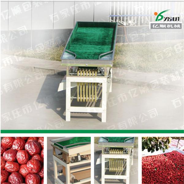 Quality Jujube size grader YSXT-1C for sale