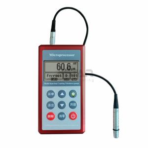 China Double Probe Paint Thickness Gauge Magnetism F1 Eddy Current N1 wholesale