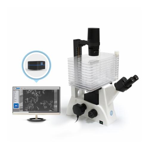 Quality Inverted Biological Microscope B60iL Special Microscope For Cell Factory Observation for sale