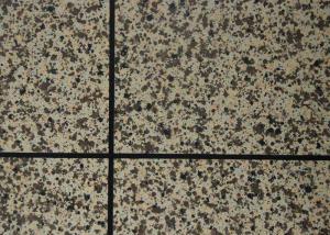 Decorative Texture Waterborne Granite Epoxy Paint Customized Color