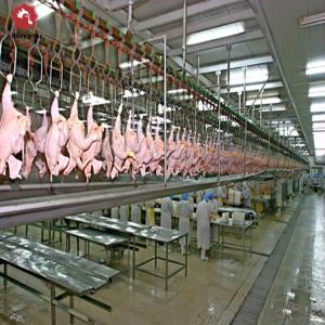 China Halal Poultry Automatic Abattoir Chicken Slaughtering Processing Scalding Plucking Machine wholesale
