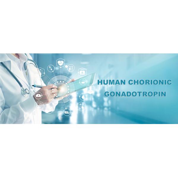 In Vitro 25mIU/Ml Sensitivity HCG Pregnancy Rapid Test Kit