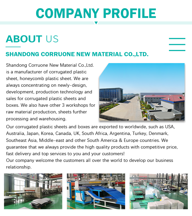 Corruone China Hot Sale Waterproof PP Corrugated Plastic Tree Guards