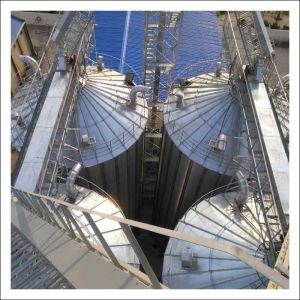 China Steel Storage 1000tons Grain Hopper Bottom Grain Bins on sale