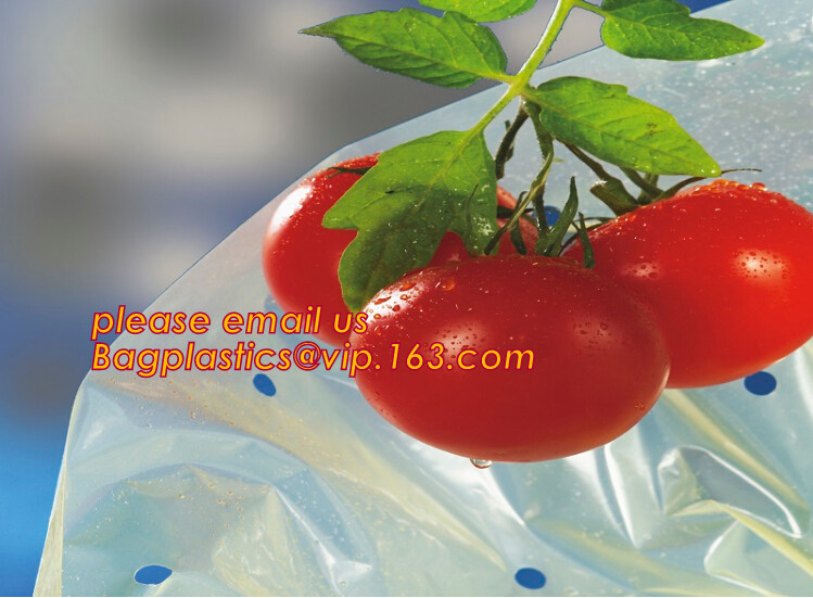 HOTICULTURAL MULCH FILM,AGRICULTURAL PE FILM,MARKET GARDENERS CLOCHE FILM,PE FILM FOR CORN,PLASTIC FILM COVER,TOMATO COV