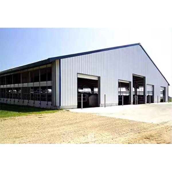 Safety Steel Structure Cow Shed House Agricultural Farm Steel Building
