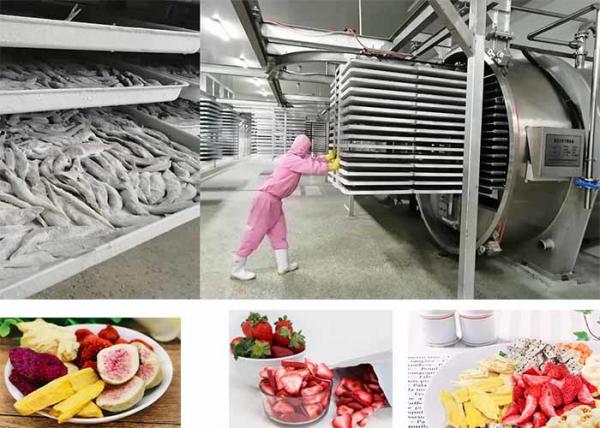 Industrial-Grade Food Vacuum Freeze Dryer Energy Saving Lyophilizer
