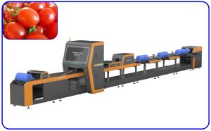 China Size Breakage Automatic Sorting Machine High Speed 2 Channel For Cherry Tomato wholesale