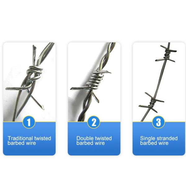 100mm Stainless Steel Barbed Wire