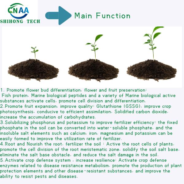 Enzyme Fish Protein Powder With Free Amino Acid High Active Peptide Multi Elements