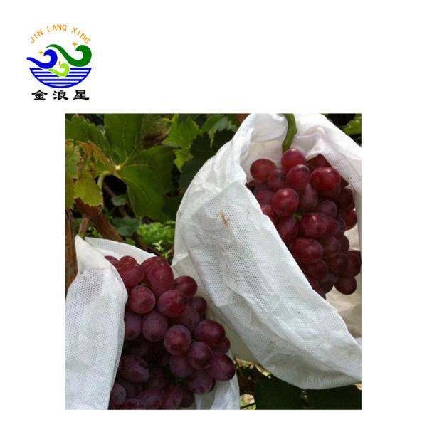 Quality Nonwoven 1.6m 250GSM Netting Bags For Fruit Trees for sale