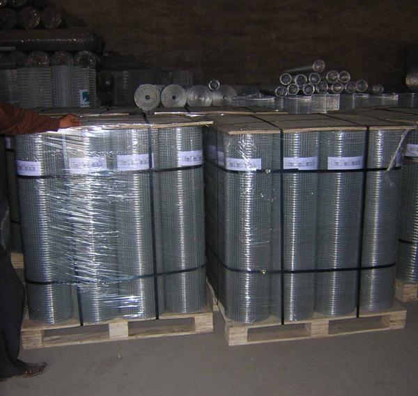 Quality galvanized welded wire mesh/galvanized welded wire mesh panel/galvanized welded wire mesh roll for sale