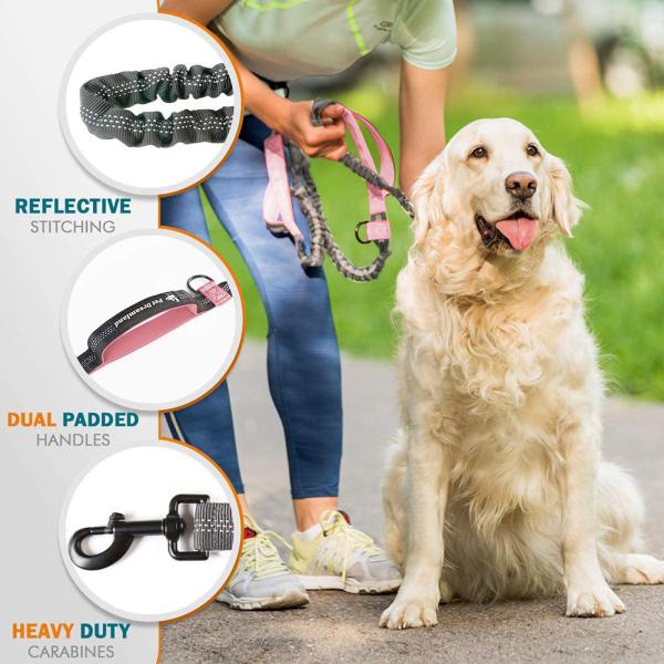 Pet Reflective Two Hand Handle Leash Hands Free Outdoor Portable Running Dog Leash
