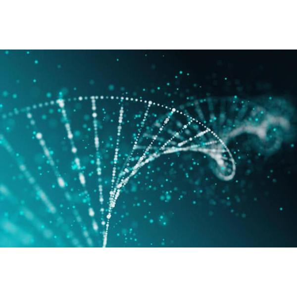 910*650*540mm Synthetic Oligonucleotide Synthesis Machine with Amidite Bottle Base 12