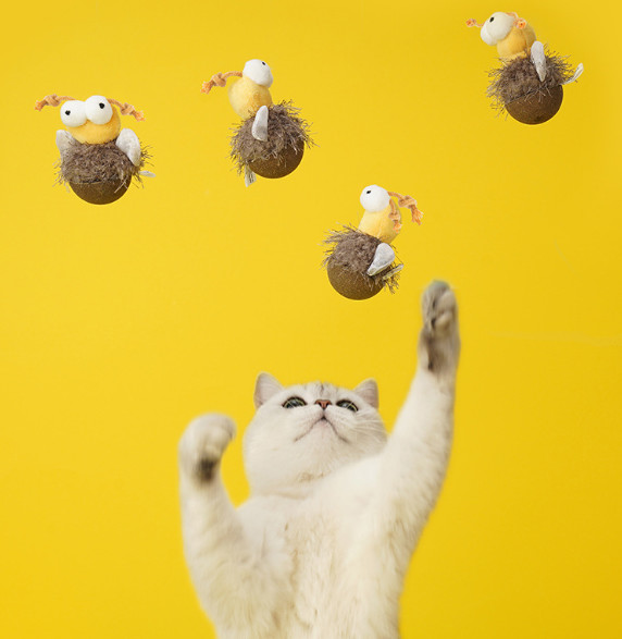 toys for cats to chew on