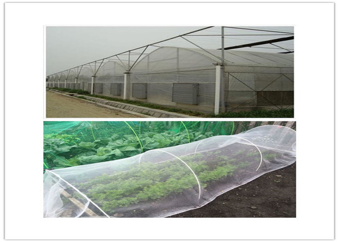 Durable 5 Years Usage Insect Repellent Net 20x10 Anti Aphid Net Greenhouse