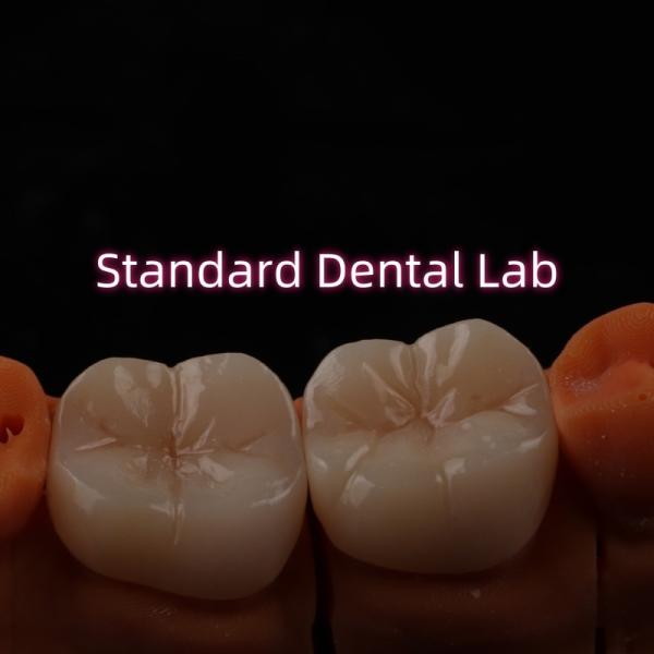 Quality Full Contour Bruxier Monolithic Zirconia Crown Bridge Dental Lab for sale