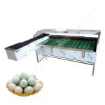Egg Size Sort Machine Egg Sorter Machine Egg Sorter Egg Classify Machine