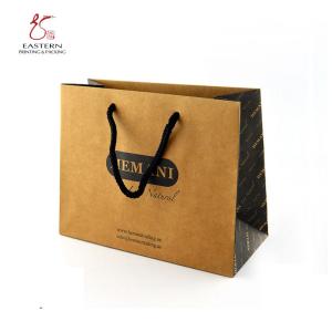 China 210gsm Kraft Paper Printed Paper Gift Bags wholesale
