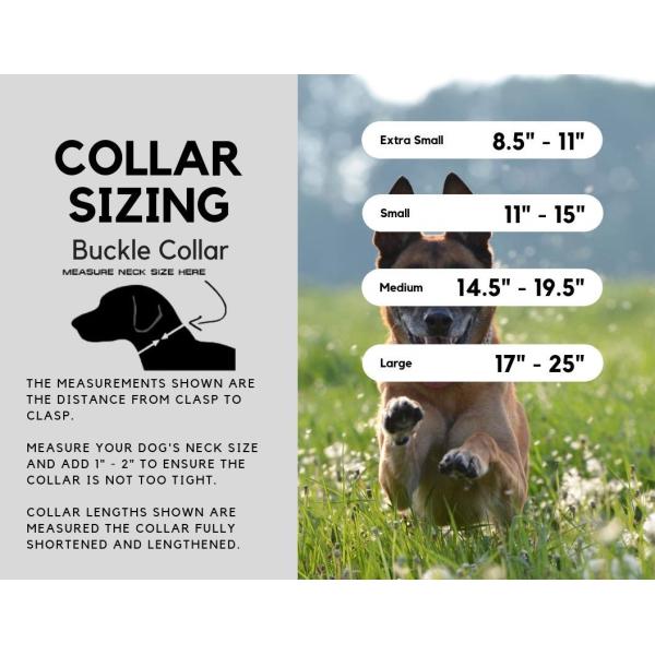 Durable Sturdy Nylon Buckle Highly Reflective Soft Nylon Dog Collar