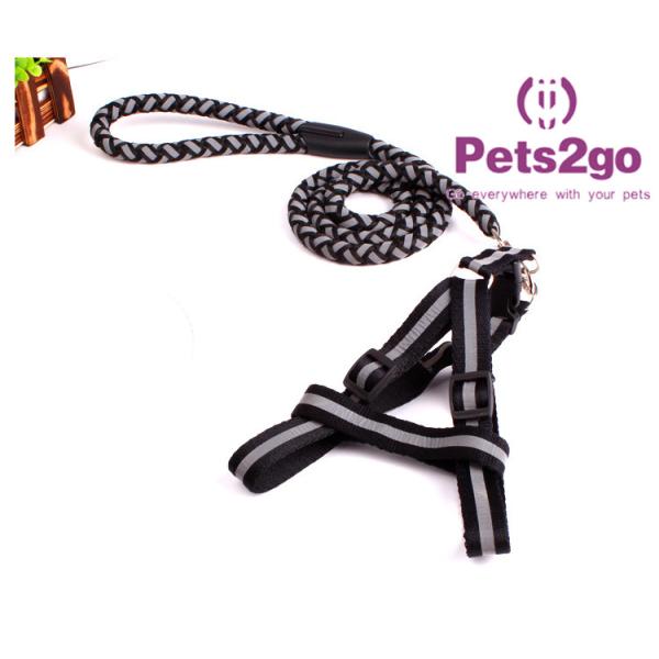 Pet Training Dog Shock Collar Puppies Tools Basic Concepts Learning Curve