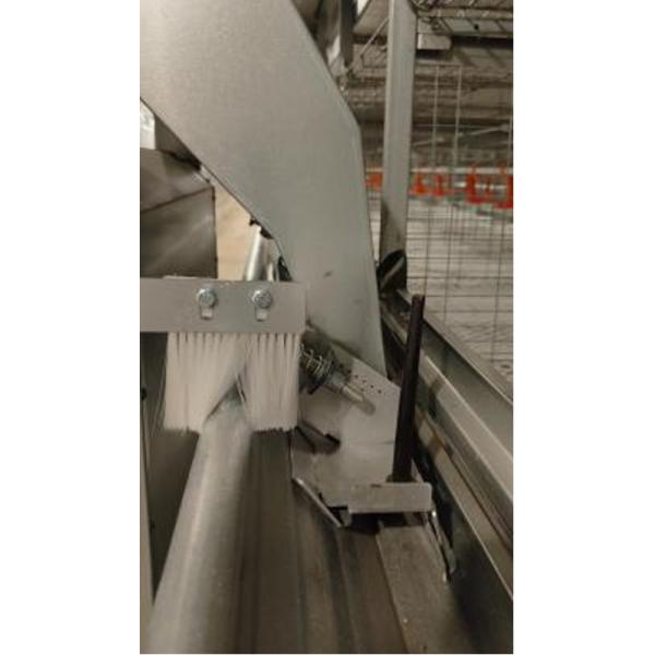 Uniform feed Layer Chicken Cage System Hot-Dip Galvanized Hopper