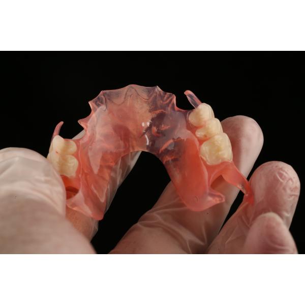 Ace Teeth Pink/Dark TCS Valplast Flexible Partial Dentures for High Esthetics Dental 3D Print Model