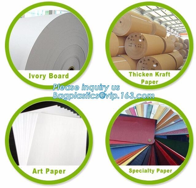 Customized Cut Printed Coated Paper Shopping Bag with Matt Lamination,rope handle custom logo printed white paper bag