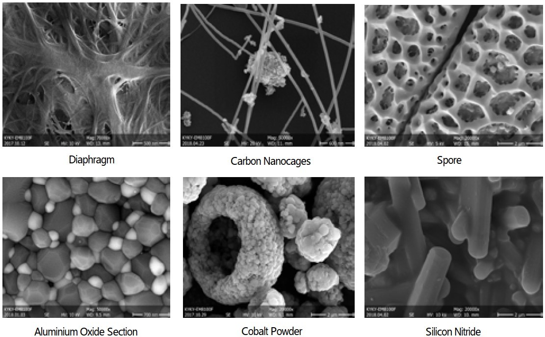 Magnification 6X-1000000X Scanning Electron Microscope 1-3nm Resolution
