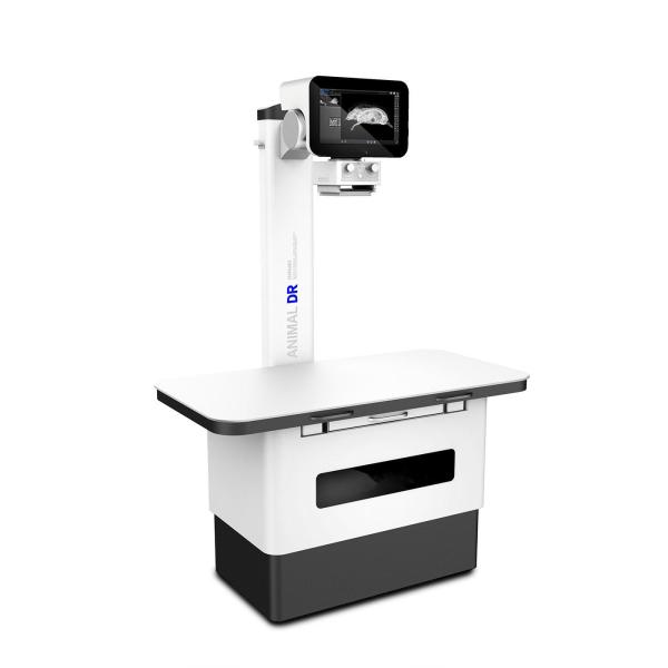 Quality Veterinary Digital X-ray System for sale