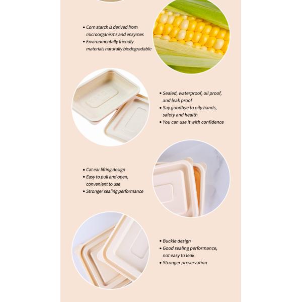 Recyclable Round Shape Biodegradable Sustainable Packaging For Fruit Storage