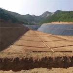Hdpe Geomembrane Liner for Environmental Projects and After-sale Service