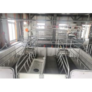 Prefab Steel Portal Frame Structure Construction Windproof Pig House