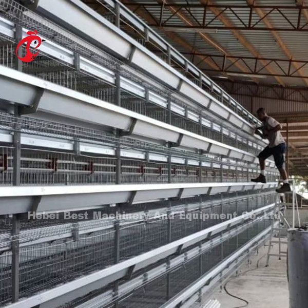 Layer Cage Automatic Poultry Farming Cage System Popular High Quality Egg Layer Cages Rose