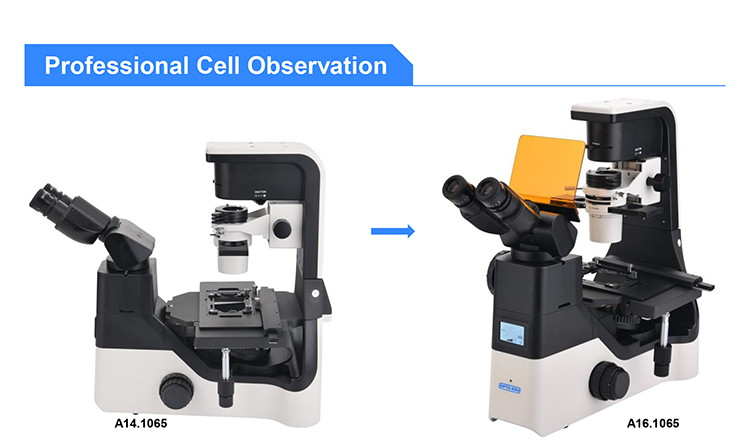 OPTO EDU A14.1065 Tilting Inverted Phase Contrast Microscope
