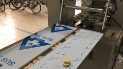 Fully Automatic 30-200bag/min Cake Pillow Packing Machine With Date Printer