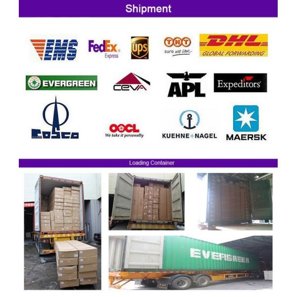 Off Road Adventure Camping Glass Fiber Hard Shell Roof Top Tent HG125